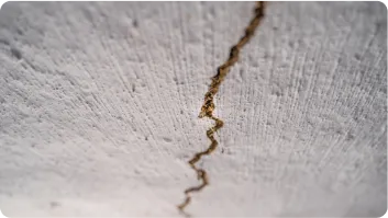 Cracks in Walls or Ceilings