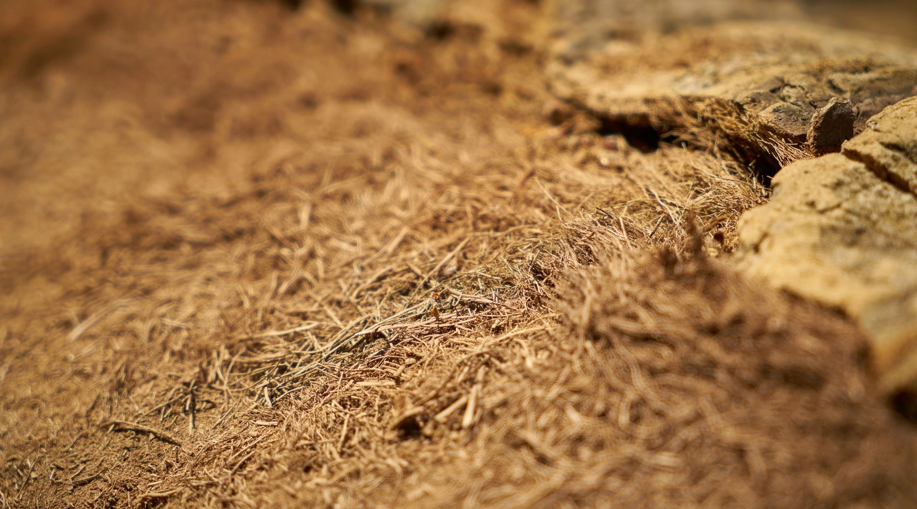 expansive clay soil foundation